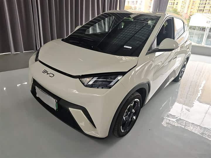 Фото 2 - BYD Seagull