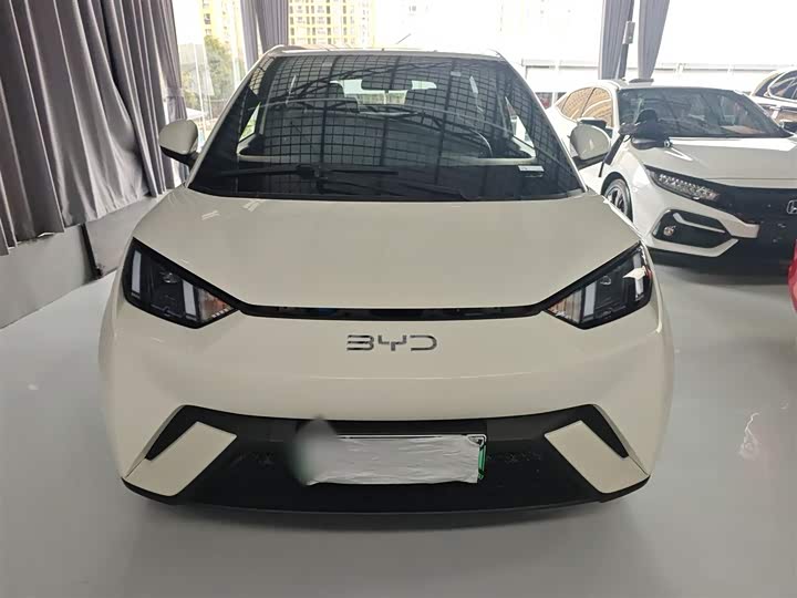 Фото 3 - BYD Seagull