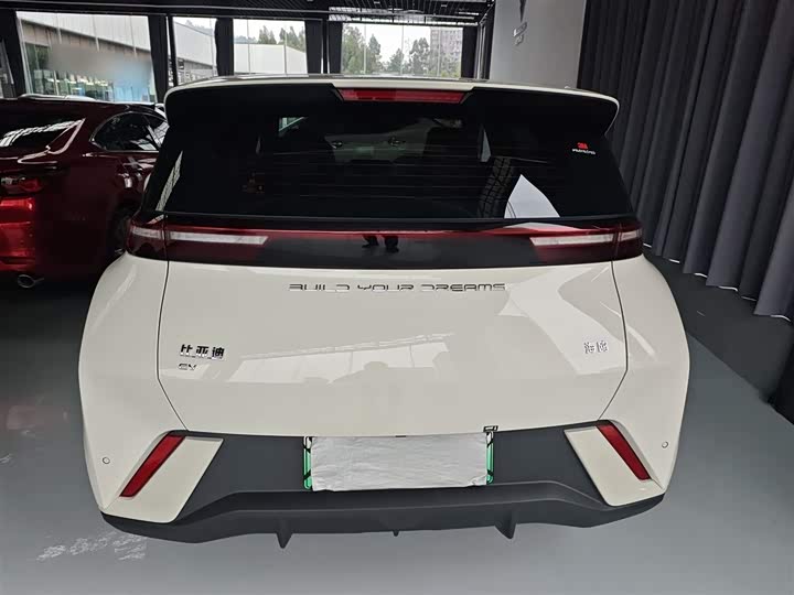 Фото 6 - BYD Seagull