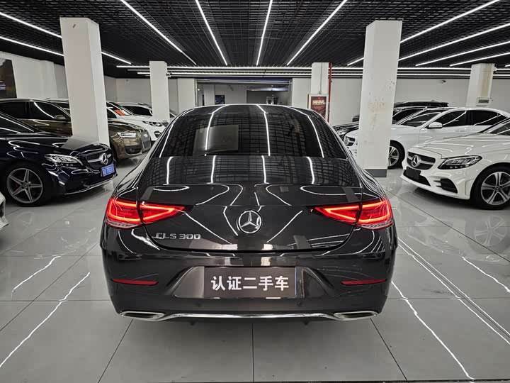 Фото 4 - Mercedes-Benz CLS-Class