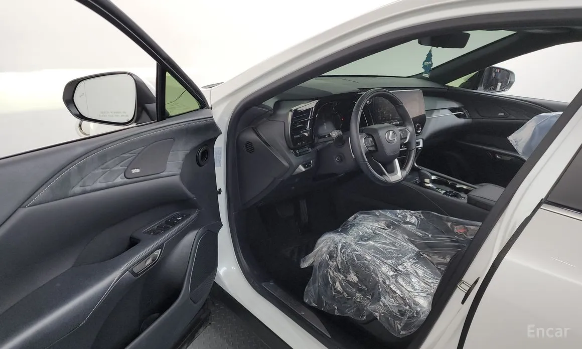 Фото 10 - Lexus RX