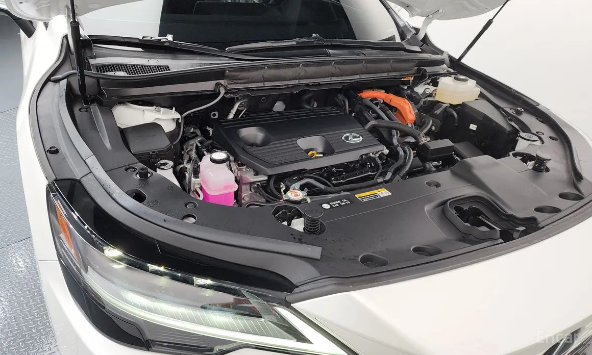 Фото 6 - Lexus RX