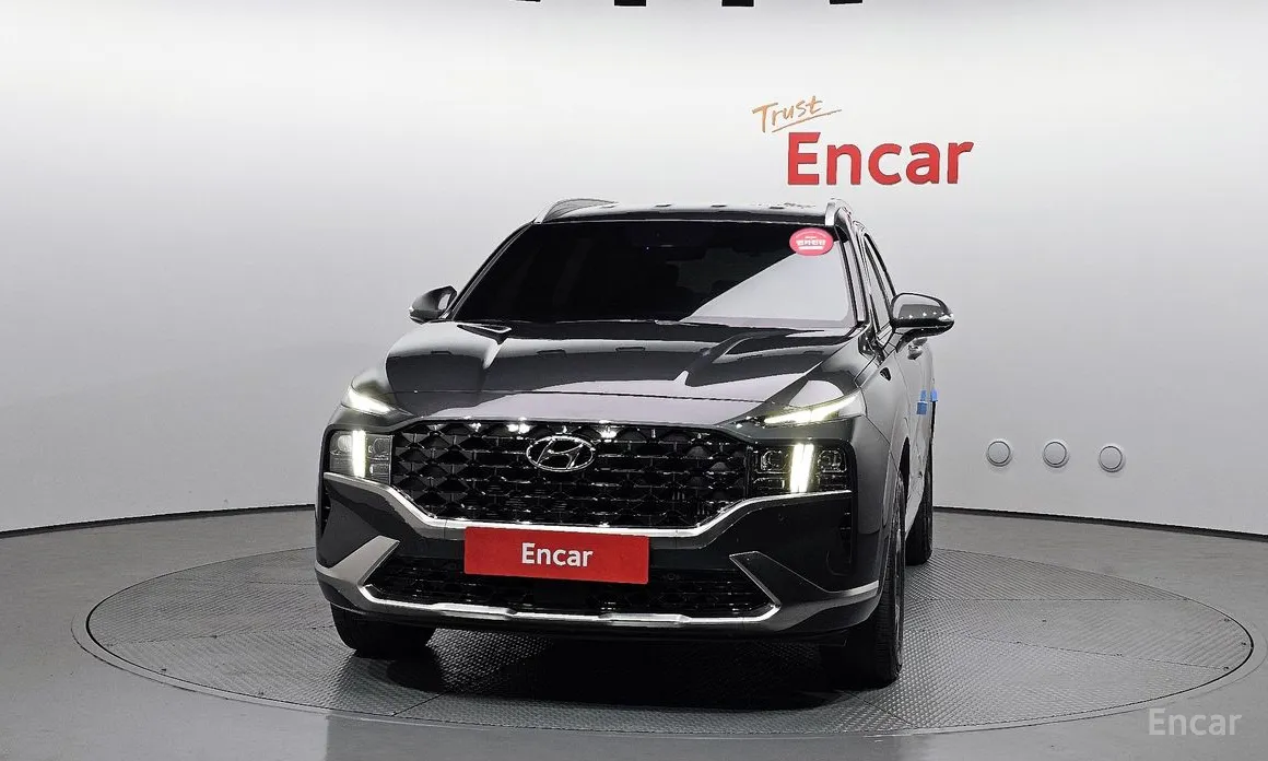 Zdjęcie 3 - Hyundai Santa Fe