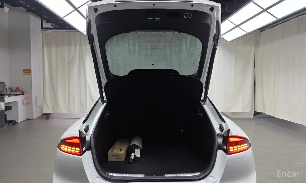 Фото 20 - Kia Stinger