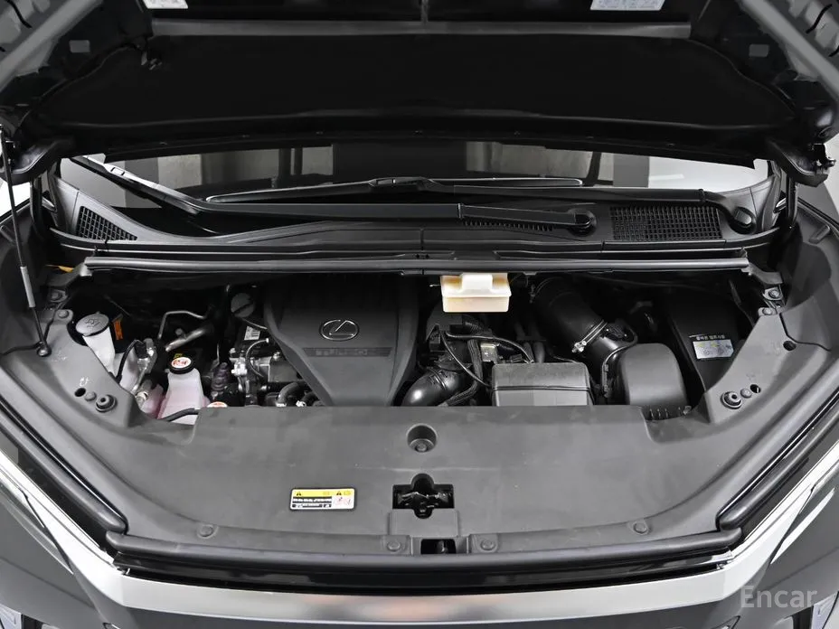 Фото 6 - Lexus LM