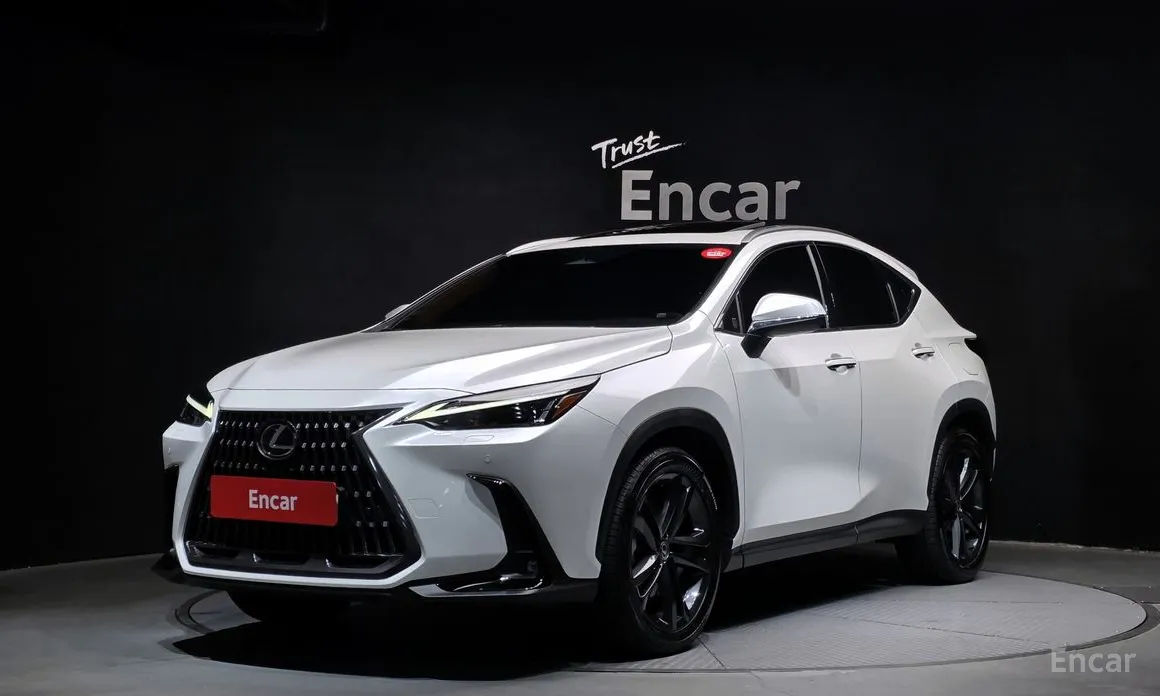 Фото 1 - Lexus NX