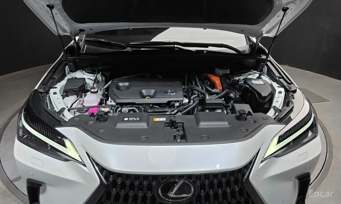 Фото 6 - Lexus NX