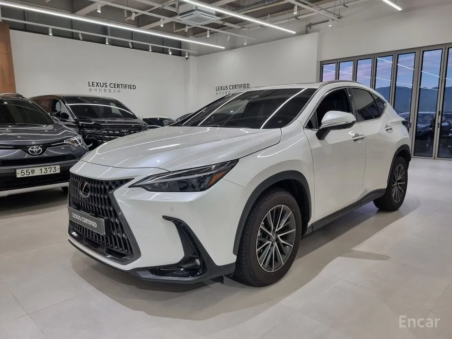 Фото 1 - Lexus NX