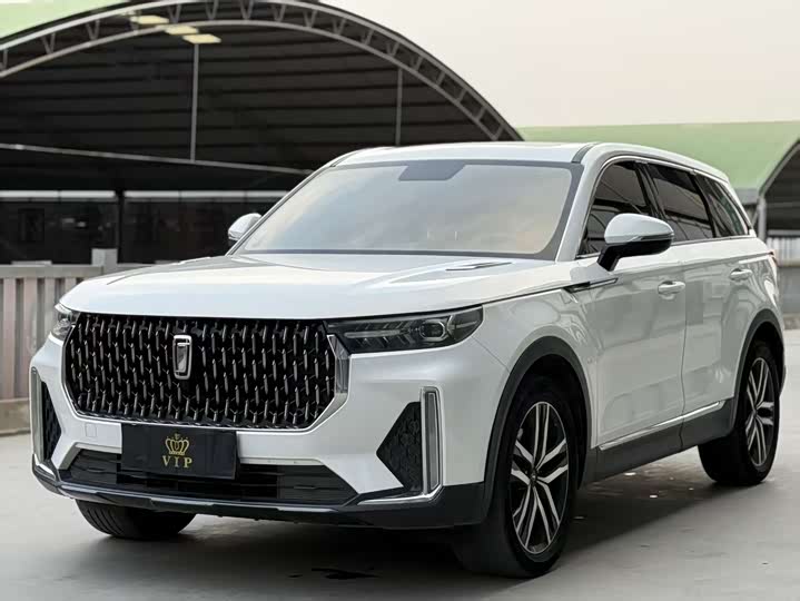 Фото 1 - Bestune T99