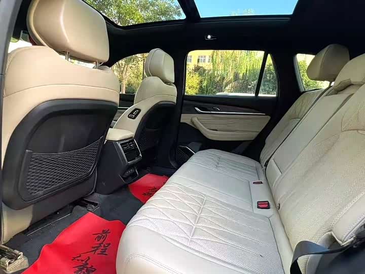 Фото 6 - Geely Monjaro