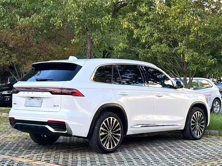 Фото 8 - Geely Monjaro