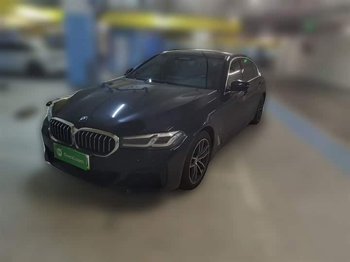 Фото 2 - BMW 5 Series Hybrid