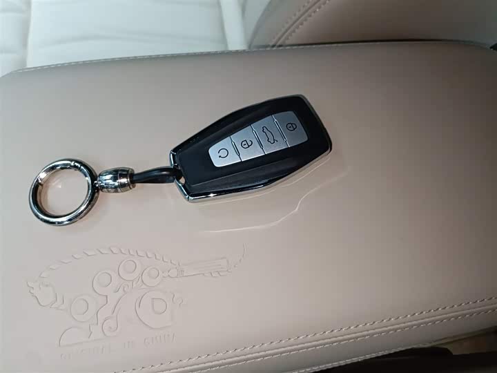 Фото 9 - Geely Monjaro