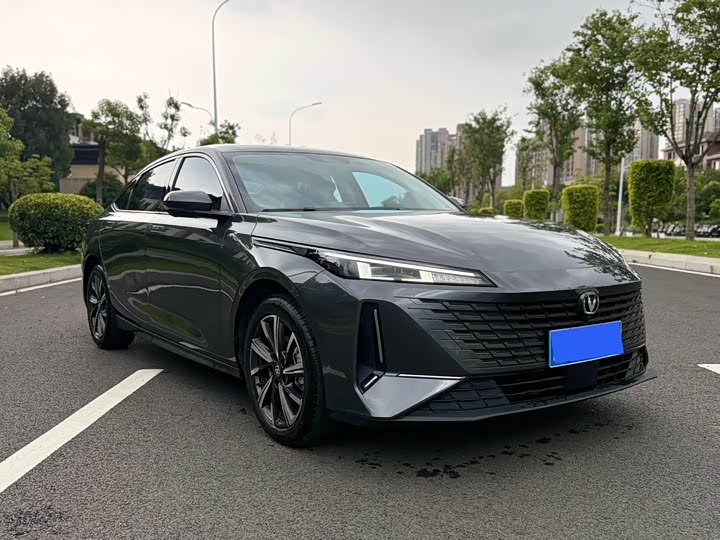 Фото 3 - Changan Yida