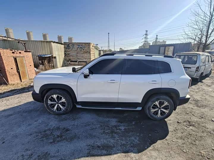 Фото 3 - Haval Dargo