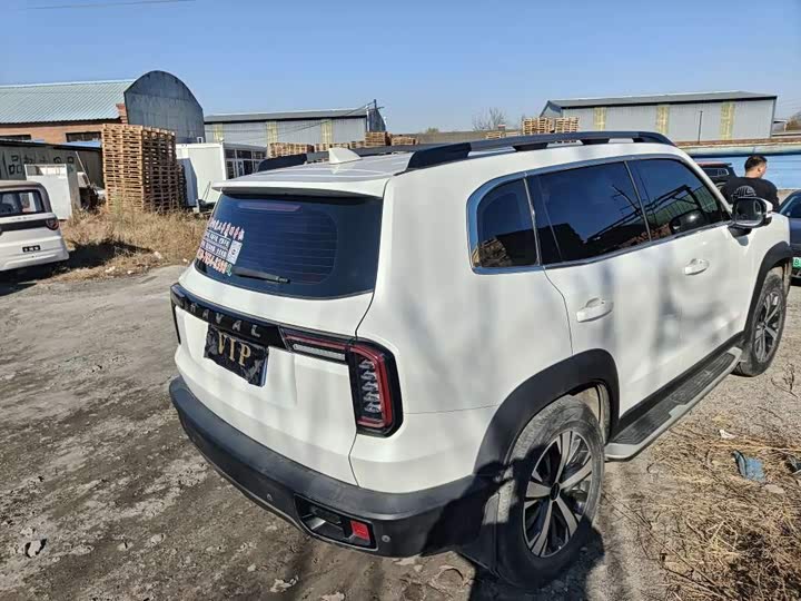 Фото 5 - Haval Dargo