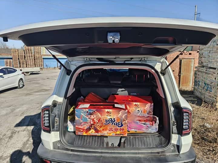 Фото 6 - Haval Dargo