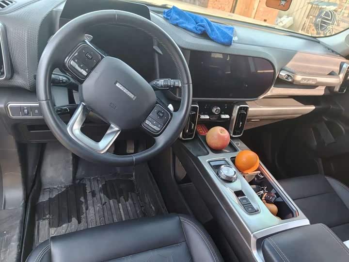 Фото 8 - Haval Dargo