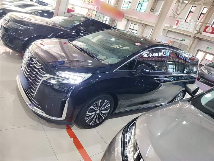 Фото 5 - Buick GL8 ES