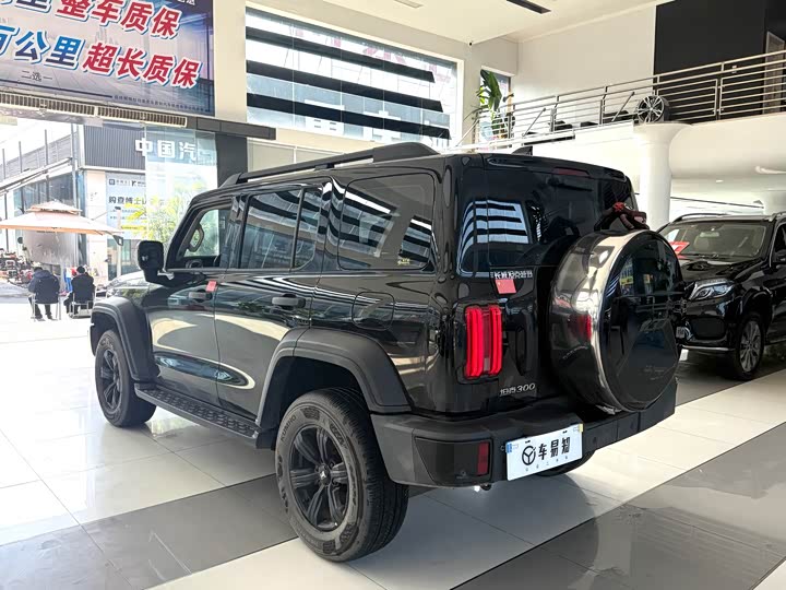 Фото 16 - Tank 300