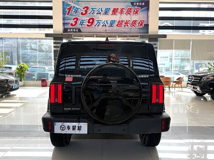 Фото 17 - Tank 300