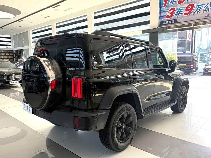 Фото 18 - Tank 300