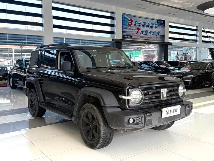 Фото 3 - Tank 300