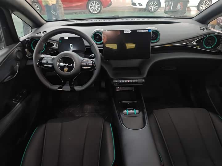 Фото 10 - BYD Dolphin