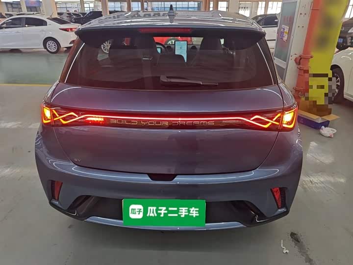 Фото 6 - BYD Dolphin