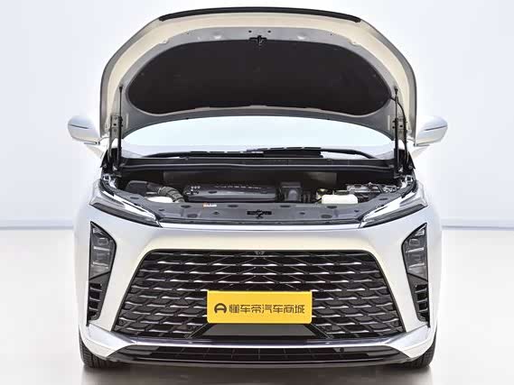 Фото 18 - Buick GL8 Hybrid