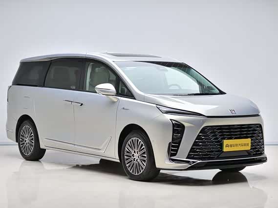 Фото 3 - Buick GL8 Hybrid