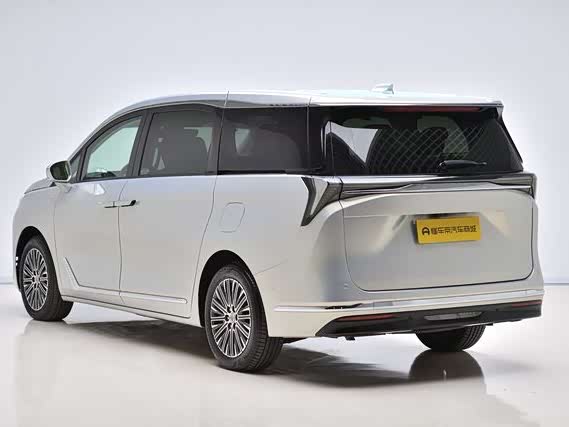 Фото 6 - Buick GL8 Hybrid