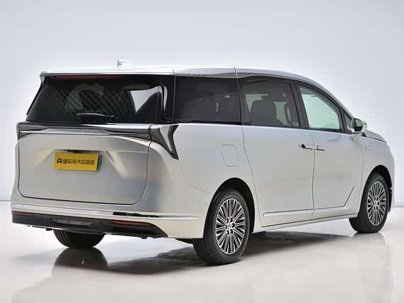 Фото 8 - Buick GL8 Hybrid