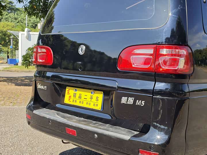 Фото 11 - Dongfeng Forthing Lingzhi M5