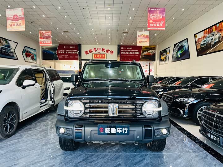 Фото 2 - Tank 300