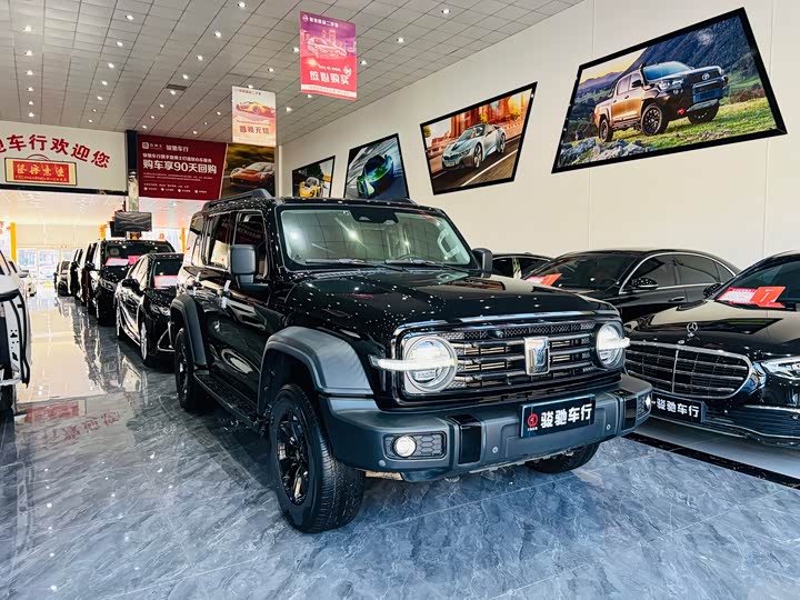 Фото 3 - Tank 300