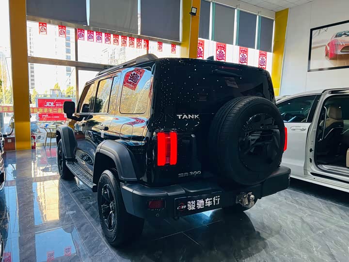 Фото 5 - Tank 300