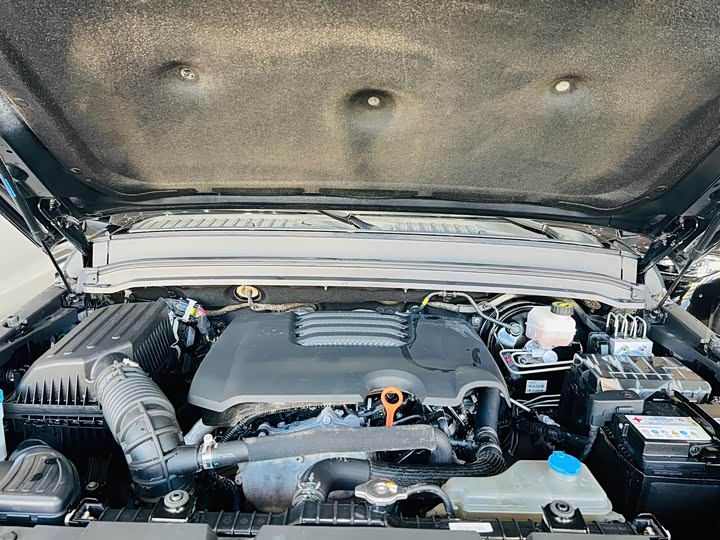 Фото 9 - Tank 300