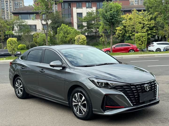 Фото 3 - Changan Eado Plus