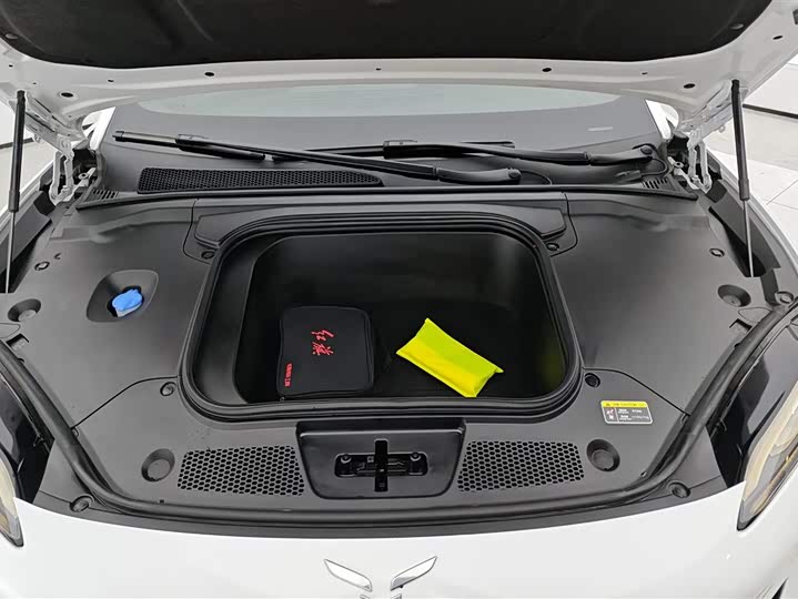 Фото 10 - Hongqi EH7