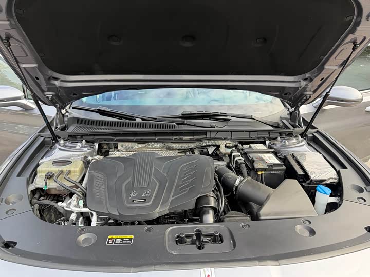 Фото 19 - Hongqi H5