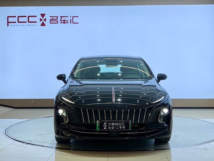 Фото 2 - Hongqi E-QM5