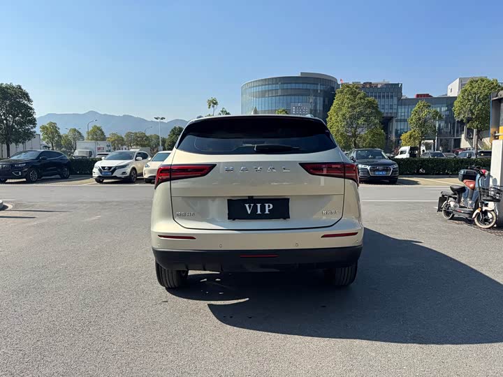 Фото 6 - Haval H6