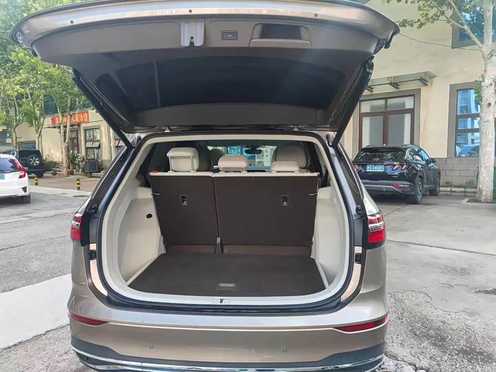 Фото 5 - Volkswagen Viloran