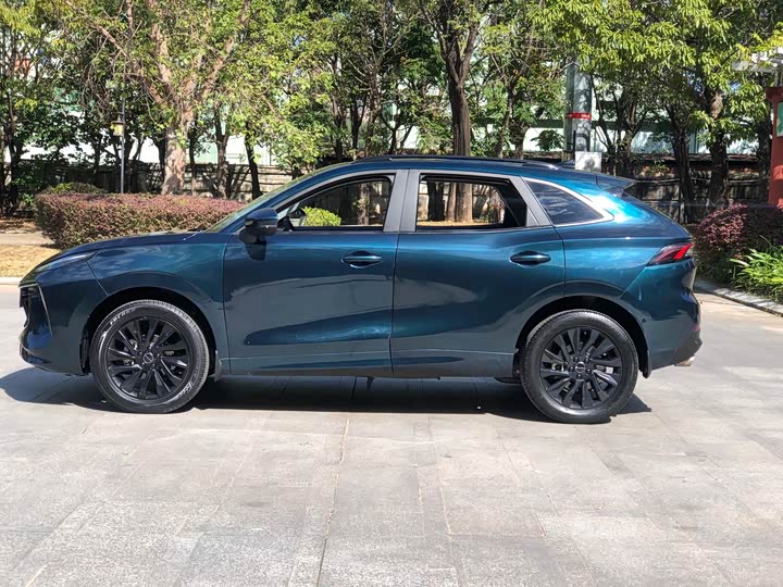 Фото 4 - Dongfeng Forthing T5 EVO