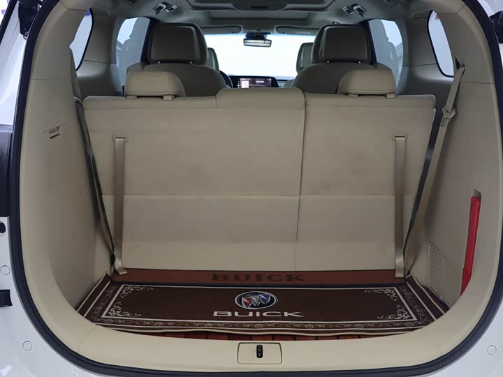 Фото 27 - Buick GL8 ES