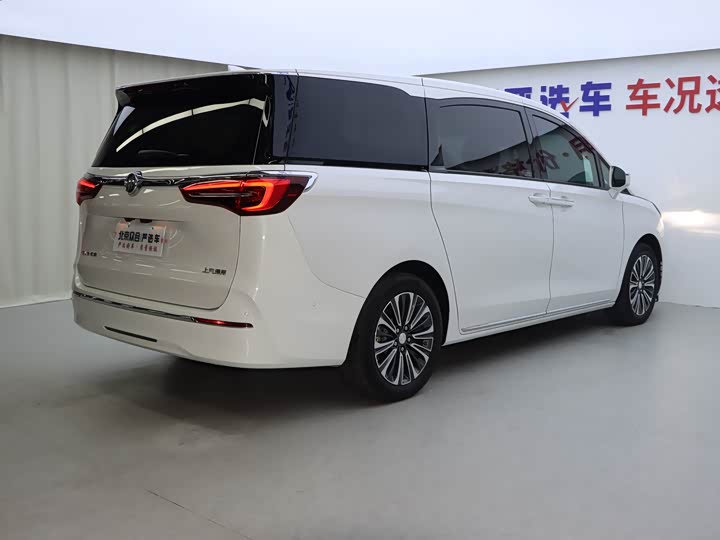 Фото 30 - Buick GL8 ES