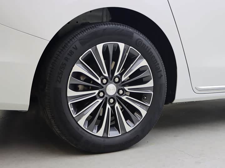 Фото 31 - Buick GL8 ES