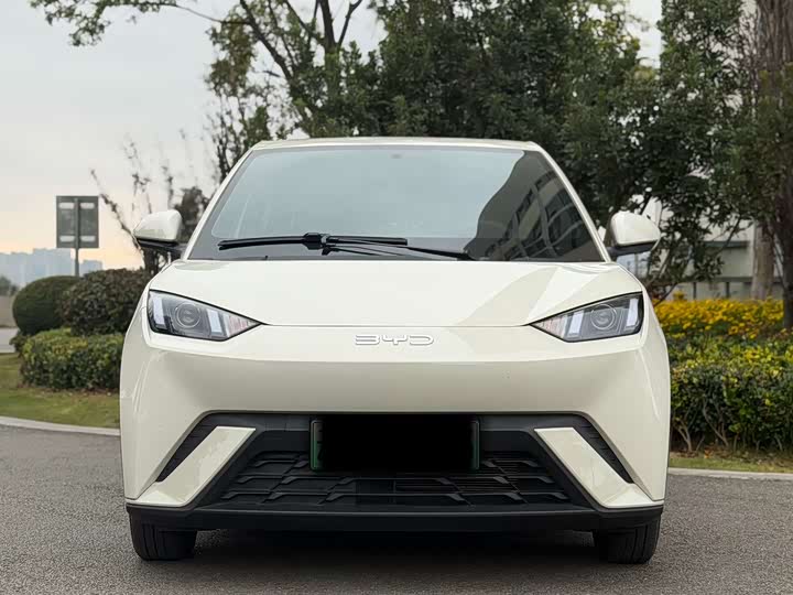 Фото 2 - BYD Seagull