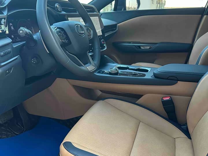 Фото 10 - Lexus RZ